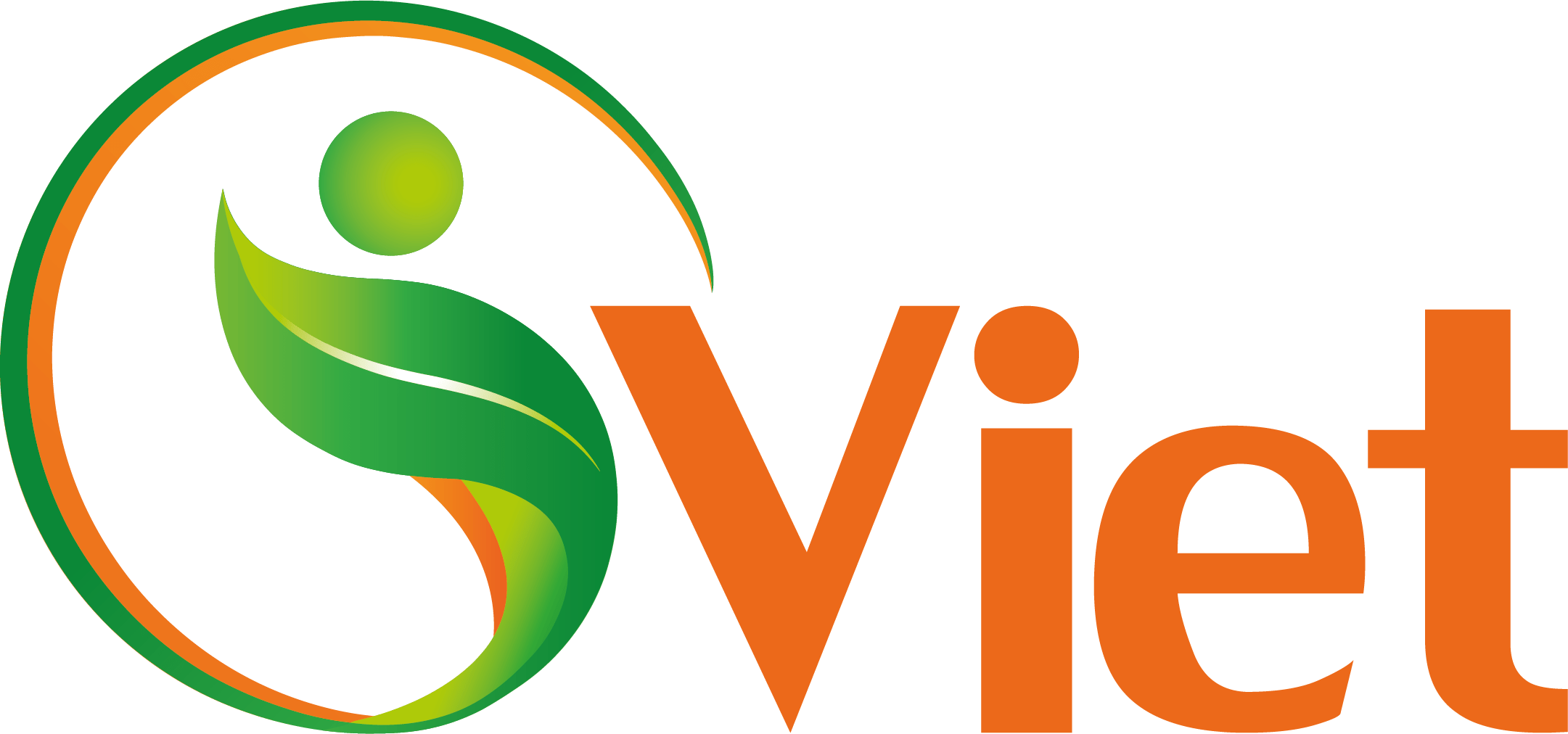 iViet Company Logo